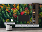 Forest Aerial View Wallpaper Mural image 0