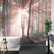 Forest autumn sunset wall mural image 2