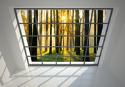 Window overlooking forest wall mural image 2