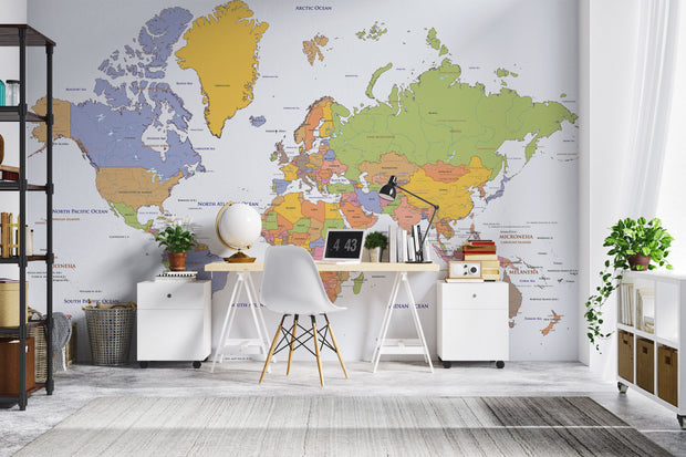 Political world map wall mural