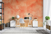 Washed Orange Wallpaper Mural decorating a home office.
