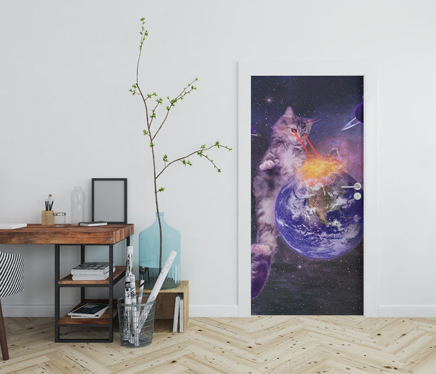Laser Cat In Space Door Mural