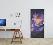 Laser Cat In Space Door Mural
