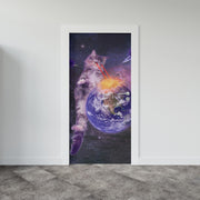 Laser Cat In Space Door Mural