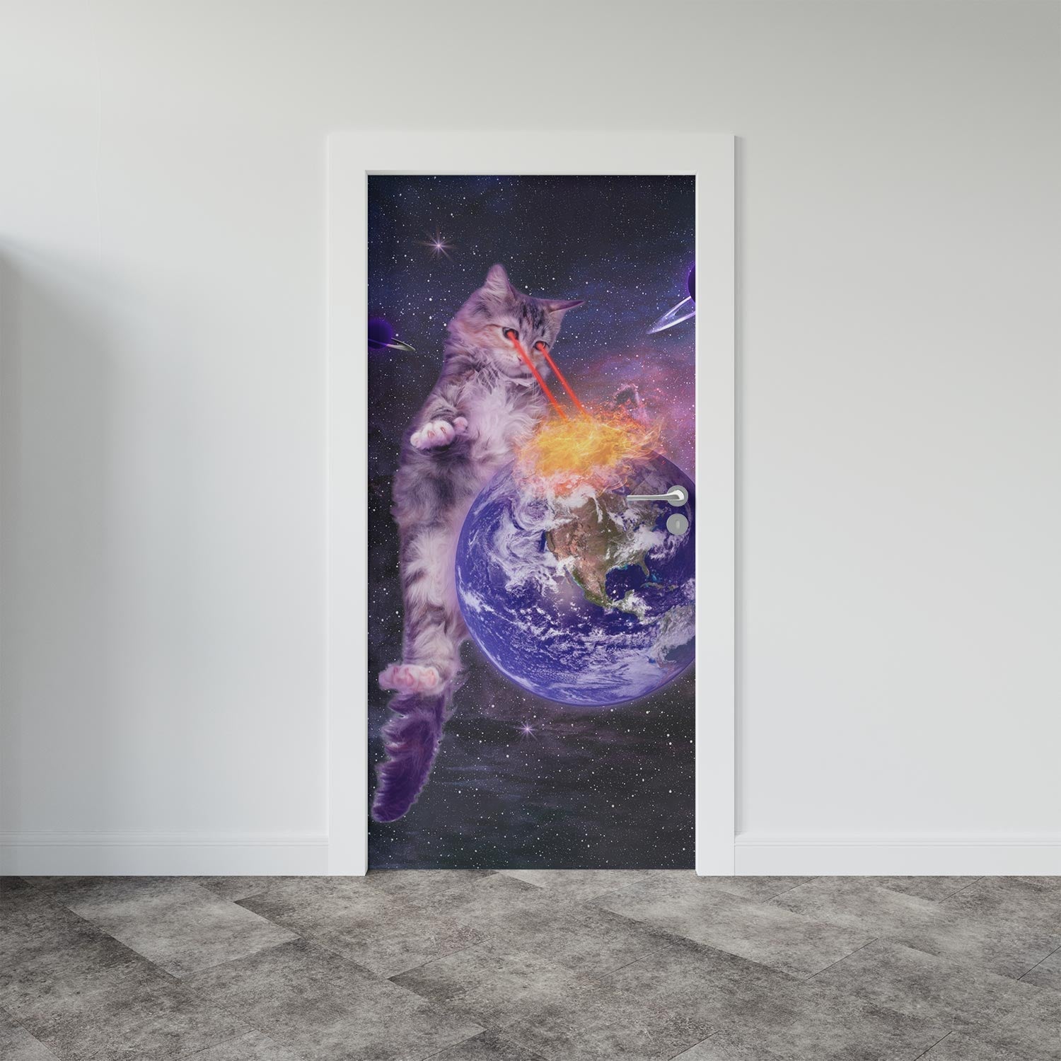 Laser Cat In Space Door Mural