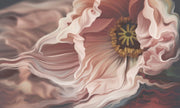Dramatic macro flower wall mural featuring blush pink anemone with flowing petals.