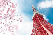 Tokyo tower wall mural image 1