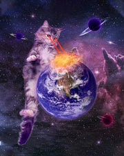 Laser Cat In Space Door Mural