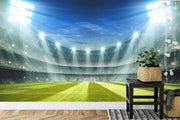 Football Stadium Wallpaper Mural image 2
