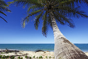 Palm tree on beach wall mural image 3
