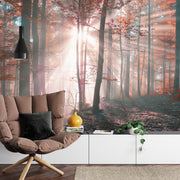 Forest autumn sunset wall mural image 0