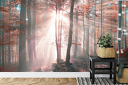 Forest autumn sunset wall mural image 3