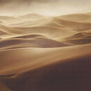 Square Wall Mural Alone By Mirko Vecernik image 1