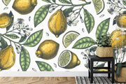 Lemon tree branch illustration wall mural image 0