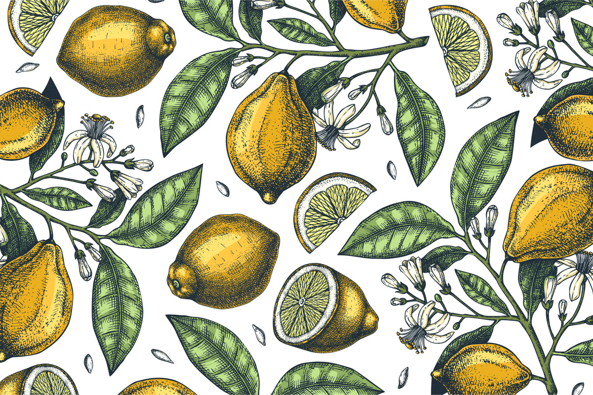 Lemon tree branch illustration wall mural image 1