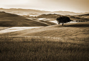 Hills landscape wall mural image 1