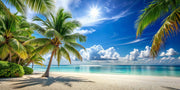 Tropical beach wall mural with palm trees, a sunny sky, turquoise ocean waters and a white sandy beach.