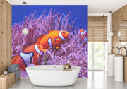 Clownfish Wall Mural image 0