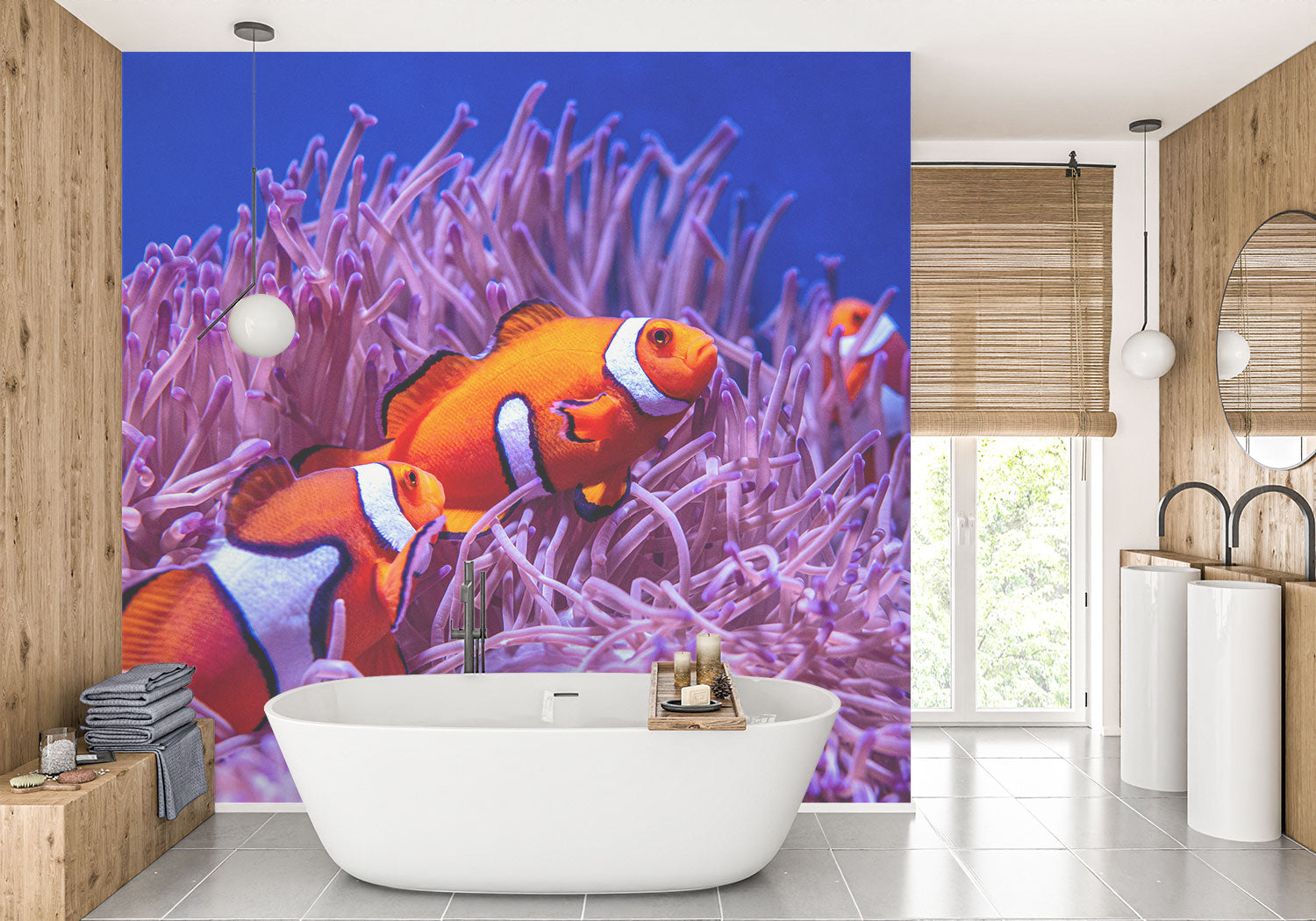 Clownfish Wall Mural image 0
