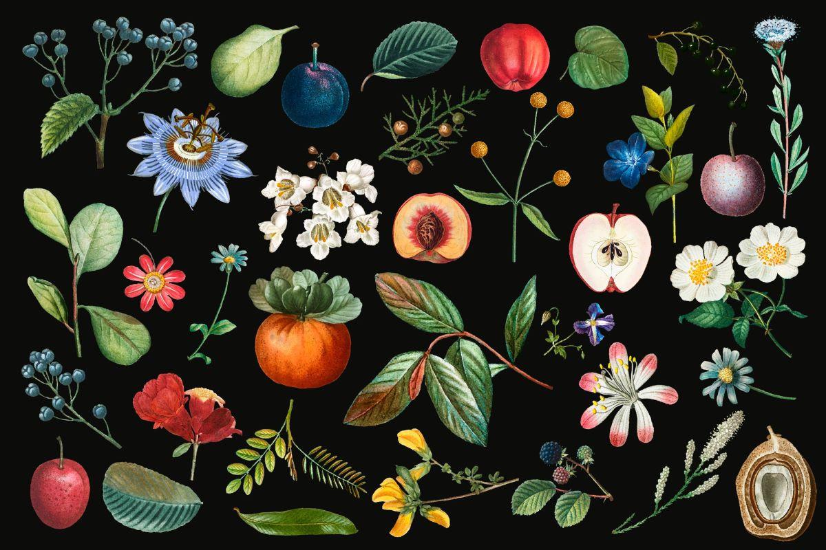 Fruits And Flowers Wallpaper Mural image 1