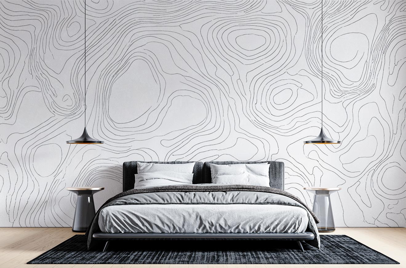 Topographic Map Mural Wallpaper image 0