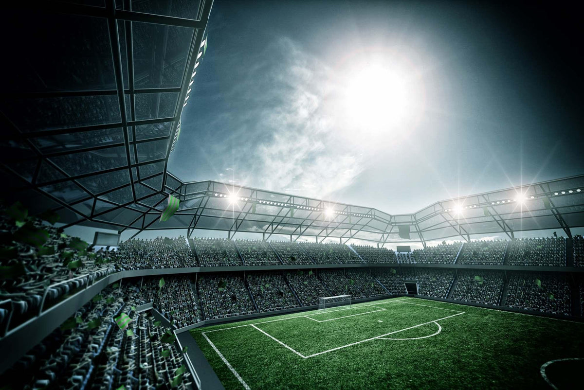 Soccer Stadium Mural Wallpaper image 1