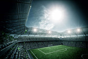 Soccer Stadium Mural Wallpaper image 1