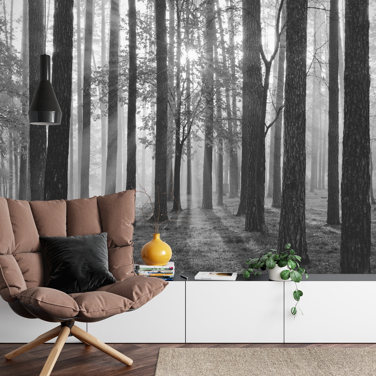 Forest sunrise in black and white wall mural image 0