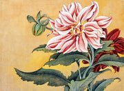 Peonies With Leaves  Natural Canvas image 1