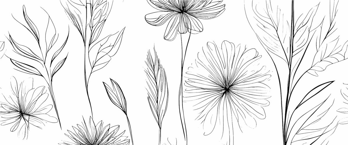 Botanical Line Art Wall Mural image 1