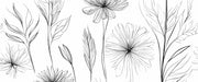 Botanical Line Art Wall Mural image 1