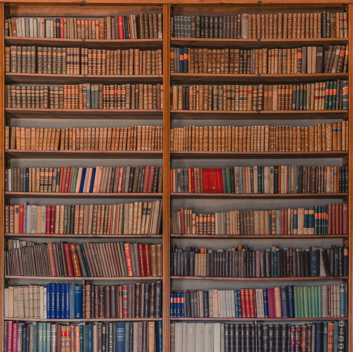 Square bookshelf wall mural image 1