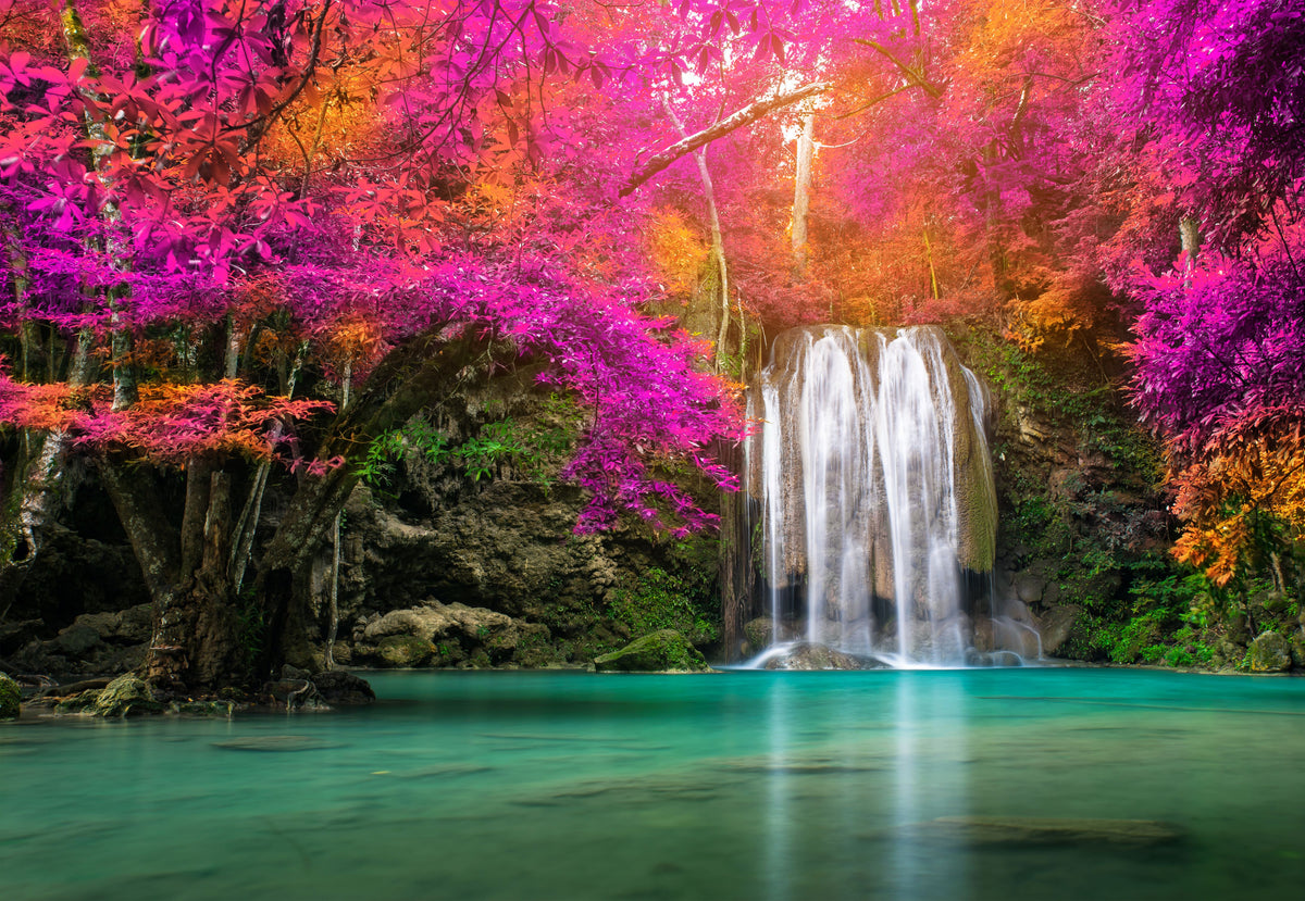 White waterfall flowing into a turquoise pool beneath vivid pink, magenta and orange forest foliage