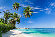 Palm oasis wall mural featuring tall palm trees, white sand, and turquoise waters under a bright blue sky, creating a refreshing workspace atmosphere.