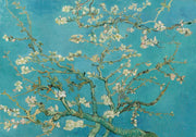 Wall mural of almond blossoms on a turquoise background, inspired by classic artwork.