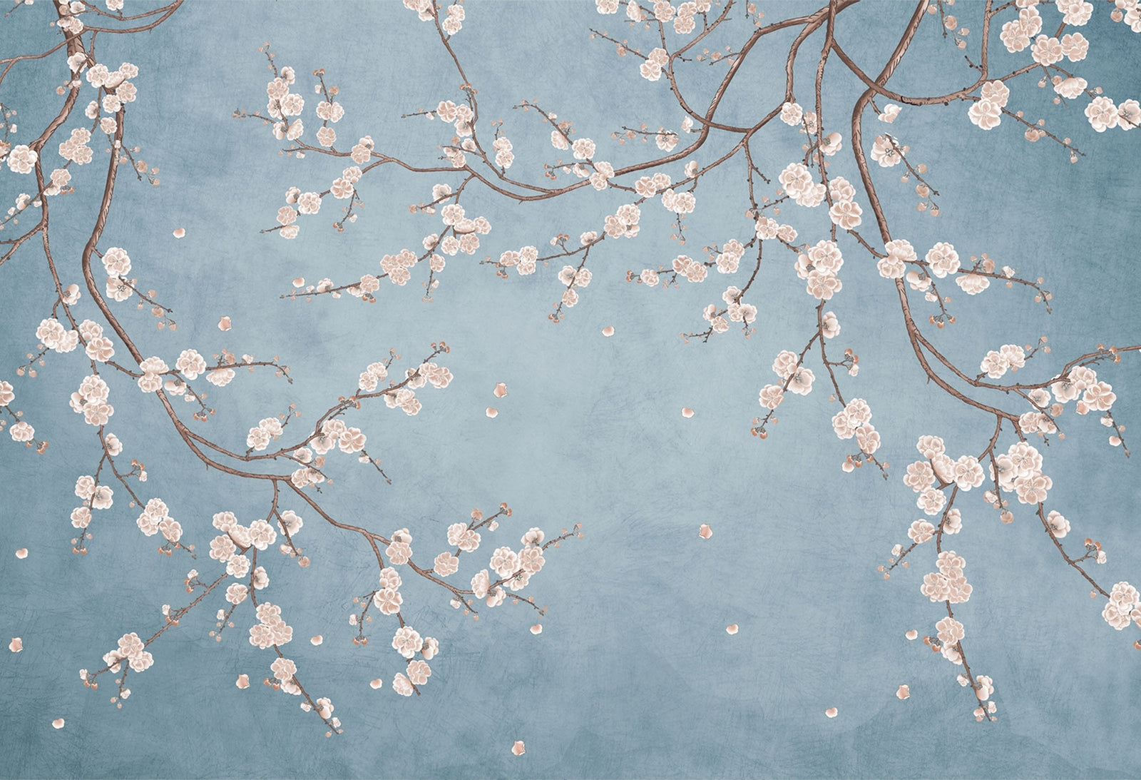 Cherry blossom wall mural with white flowers on twisting branches set against a rich blue background, creating a peaceful and stylish interior decor.