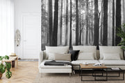 Forest sunrise in black and white wall mural image 4