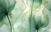 Ethereal Green Leaf Wall Mural – Nature-Inspired Botanical Wallpaper with Soft Translucent Leaves in Calming Green Hues.