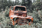 Abandoned Car Photo Wallpaper - Mural Wonder