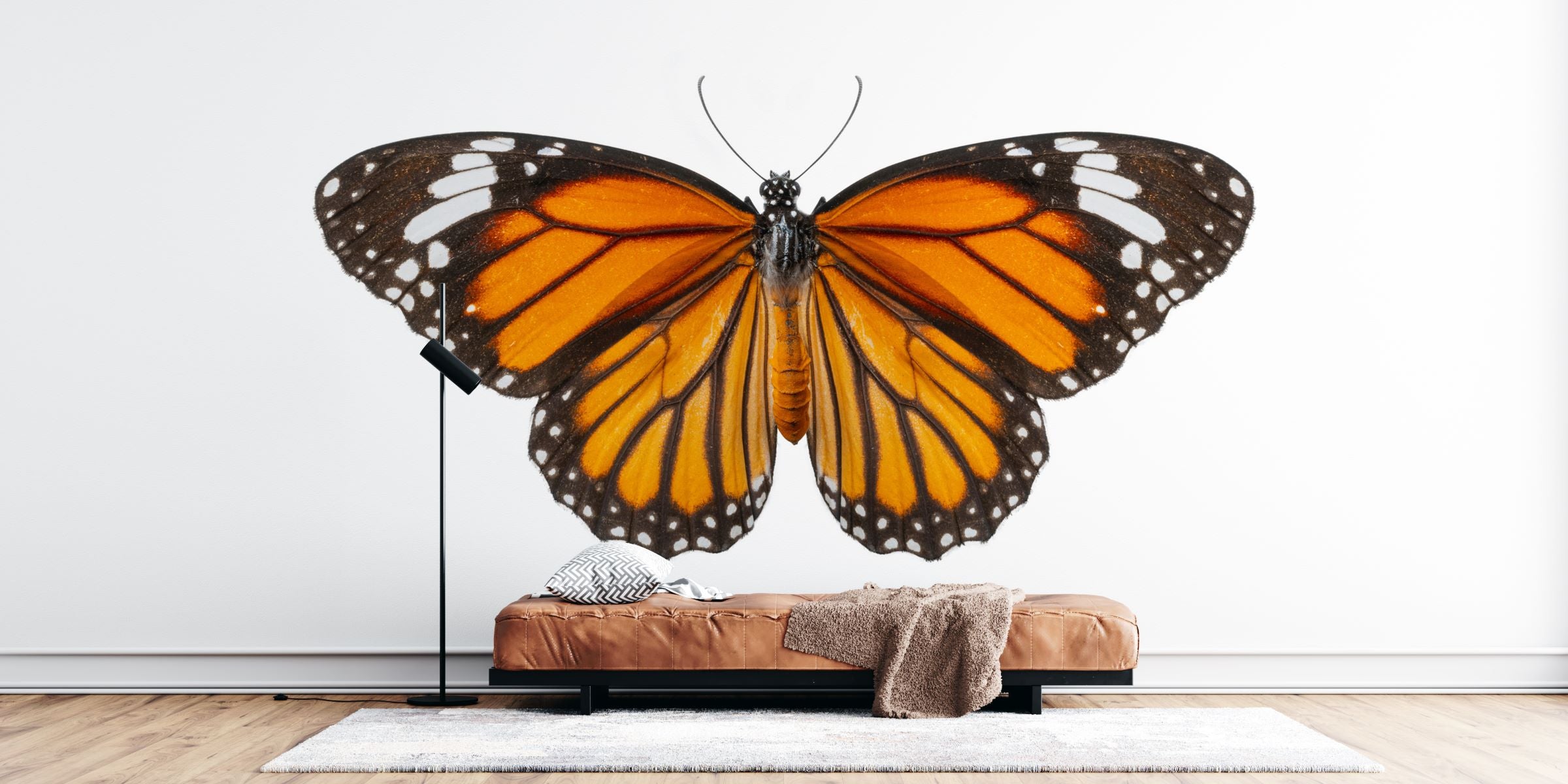 Butterfly Photo Wallpaper image 0