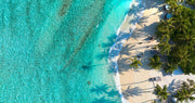 Beach View Wall Mural - Mural Wonder