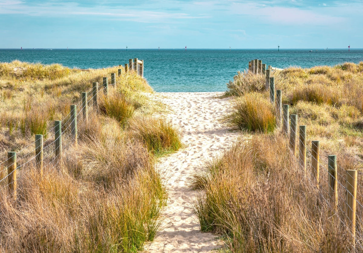 Beach wall mural - Mural Wonder