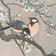 Birds on a cherry branch square wall mural - Mural Wonder