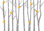 Birds wall mural - Mural Wonder