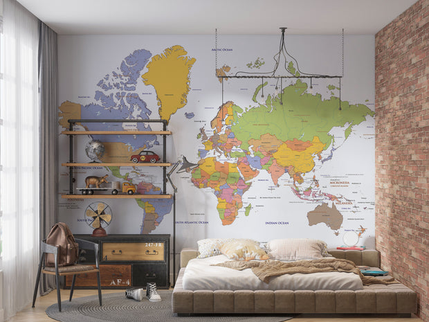 Political world map wall mural