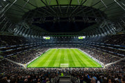 Crowded Stadium Wall Mural image 1