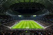 Crowded Stadium Wall Mural image 1