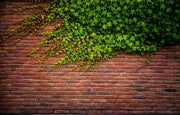 Brick Wall Photo Wallpaper image 1