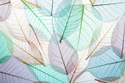 Transparent Leaves Wallpaper Mural image 1