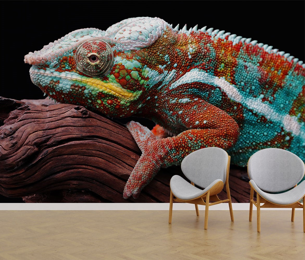 Chameleon Photo Wallpaper image 0